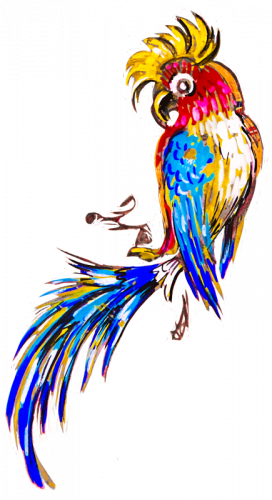 pappagallo-1-storia-balistreri